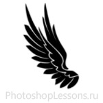 Кисти в виде крыльев ангела для Фотошопа - кисть 13