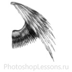 Кисти в виде крыльев ангела для Фотошопа - кисть 16