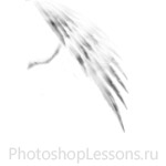 Кисти в виде крыльев ангела для Фотошопа - кисть 17