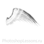 Кисти в виде крыльев ангела для Фотошопа - кисть 20