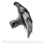 Кисти в виде крыльев ангела для Фотошопа - кисть 25