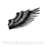 Кисти в виде крыльев ангела для Фотошопа - кисть 31