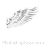 Кисти в виде крыльев ангела для Фотошопа - кисть 32