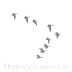 Кисти в виде силуэтов птиц для Фотошопа - кисть 10