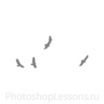 Кисти в виде силуэтов птиц для Фотошопа - кисть 19