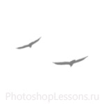 Кисти в виде силуэтов птиц для Фотошопа - кисть 21