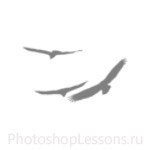 Кисти в виде силуэтов птиц для Фотошопа - кисть 23