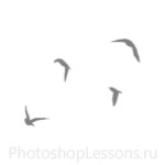Кисти в виде силуэтов птиц для Фотошопа - кисть 25