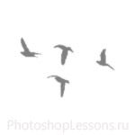 Кисти в виде силуэтов птиц для Фотошопа - кисть 28