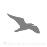 Кисти в виде силуэтов птиц для Фотошопа - кисть 29