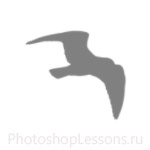 Кисти в виде силуэтов птиц для Фотошопа - кисть 30