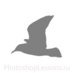 Кисти в виде силуэтов птиц для Фотошопа - кисть 31