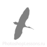 Кисти в виде силуэтов птиц для Фотошопа - кисть 35