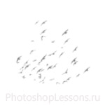 Кисти в виде силуэтов птиц для Фотошопа - кисть 42
