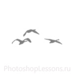 Кисти в виде силуэтов птиц для Фотошопа - кисть 44