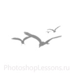 Кисти в виде силуэтов птиц для Фотошопа - кисть 45