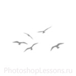 Кисти в виде силуэтов птиц для Фотошопа - кисть 46