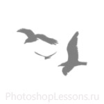 Кисти в виде силуэтов птиц для Фотошопа - кисть 47
