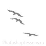 Кисти в виде силуэтов птиц для Фотошопа - кисть 48