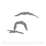Кисти в виде силуэтов птиц для Фотошопа - кисть 51