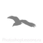 Кисти в виде силуэтов птиц для Фотошопа - кисть 53