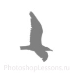Кисти в виде силуэтов птиц для Фотошопа - кисть 55