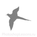 Кисти в виде силуэтов птиц для Фотошопа - кисть 61