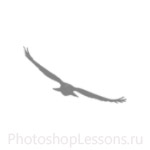 Кисти в виде силуэтов птиц для Фотошопа - кисть 65