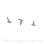 Кисти в виде силуэтов птиц для Фотошопа - кисть 7