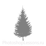 Кисти: силуэты деревьев для Фотошопа - кисть 10