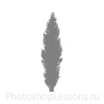 Кисти: силуэты деревьев для Фотошопа - кисть 11