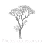 Кисти: силуэты деревьев для Фотошопа - кисть 12