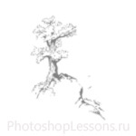 Кисти: силуэты деревьев для Фотошопа - кисть 16