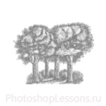 Кисти: силуэты деревьев для Фотошопа - кисть 26