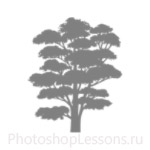 Кисти: силуэты деревьев для Фотошопа - кисть 5