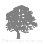 Кисти: силуэты деревьев для Фотошопа - кисть 6