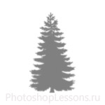 Кисти: силуэты деревьев для Фотошопа - кисть 7