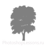 Кисти: силуэты деревьев для Фотошопа - кисть 8