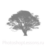 Кисти: силуэты деревьев для Фотошопа - кисть 9
